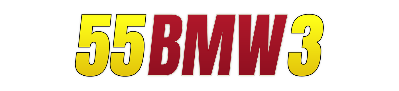 55bmw3 Logo